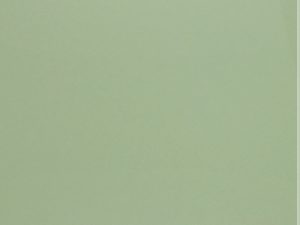 Панель EvoGloss МДФ 18*1220*2800 Р010/ МАТОВАЯ МЯТА